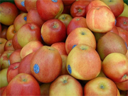 Äpfel