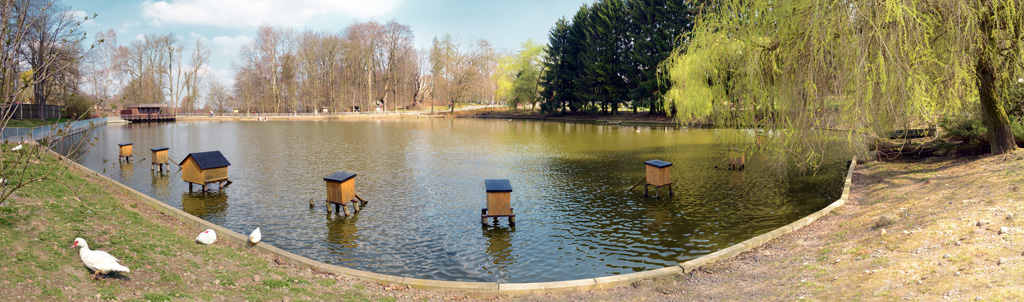 Panorama vom Ententeich